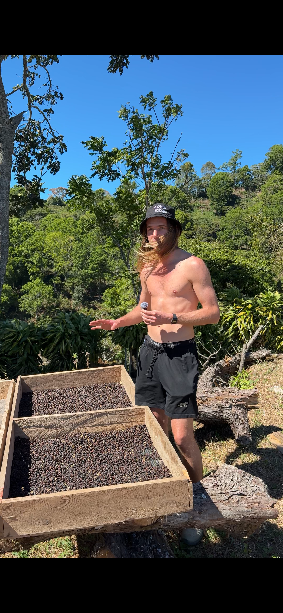 Red Bourbon Arabica