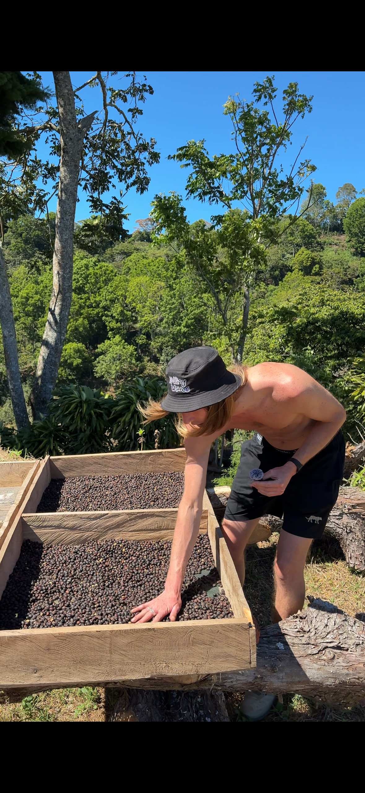 Red Bourbon Arabica